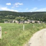 Promenade en forêt