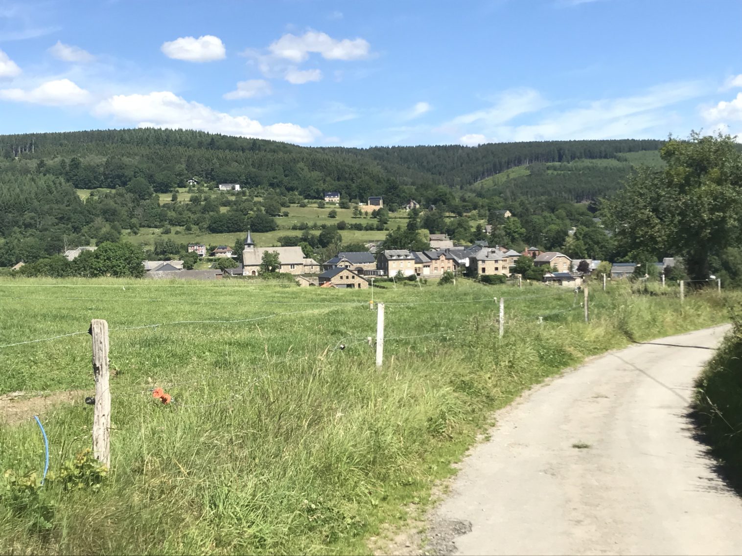 Promenade en forêt