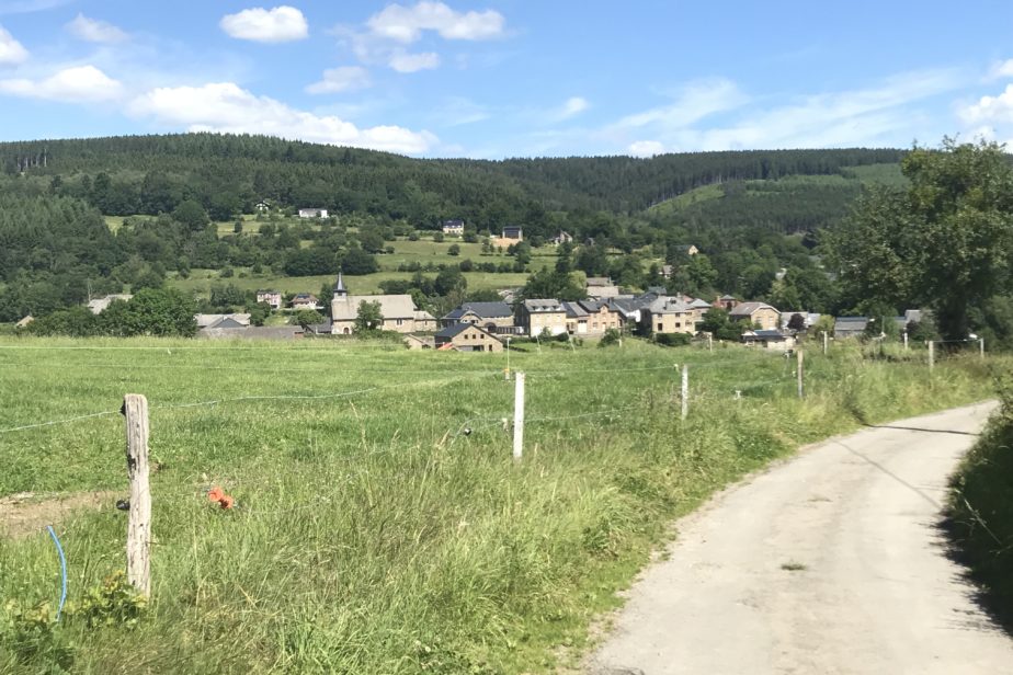 Promenade en forêt